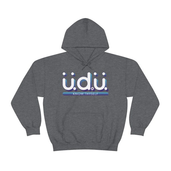 üdü Ombre Mens Hoodie - Image 2